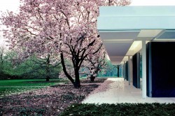 Balthazar Korab, Miller House, Eero Saarinen