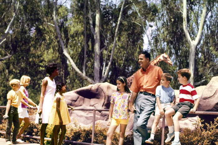 Colorama Kodak Photo
