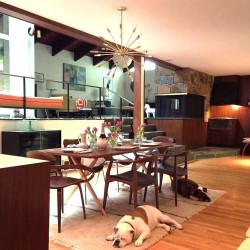 Cherner Jacobsen Wegner sputnik dining MCM Modernsim dogs