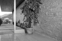 Kaufmann Desert House Julius Shulman Richard Neutra