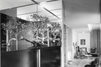 Kaufmann Desert House Julius Shulman Richard Neutra