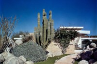 Kaufmann Desert House Julius Shulman Richard Neutra