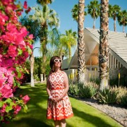 James Schnepf palm springs project mid centuy modern people
