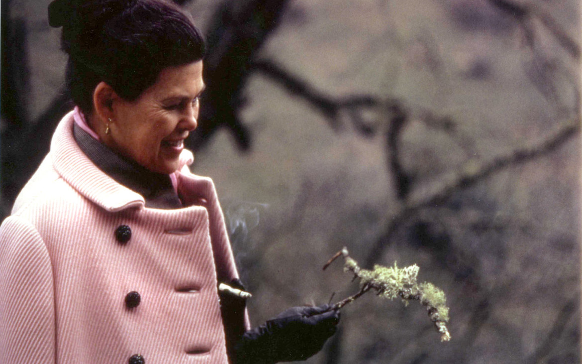 charles ray eames portrait life