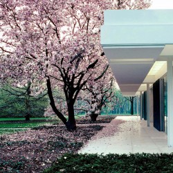 miller house columbus indiana eero saarinen mid century modern modernism