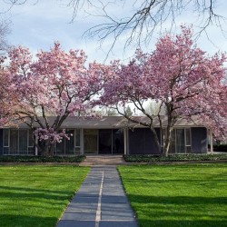 miller house columbus indiana eero saarinen mid century modern modernism