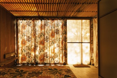 abandoned mid century modern house architecture ruins