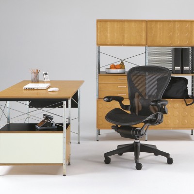 charles ray eames herman miller storage unit ESU vitra