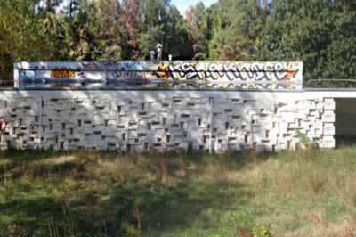 abandoned mid century modern house architecture ruins