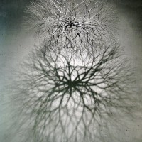 Ruth Asawa sculpture metal mid century modern art crochet