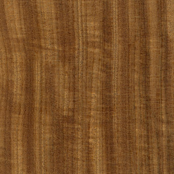 mid century modern wood designers