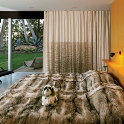 Julius Shulman richard neutra mid century modern california singleton house sassoon