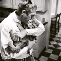 Steve McQueen actor Bullitt king of cool
