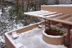 mid century modern winter houses snow icons