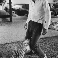 Steve McQueen actor Bullitt king of cool