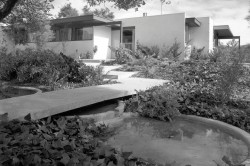 richard neutra mid century modern house restored julius shulman modernism
