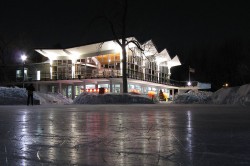 mid century modern winter houses snow icons