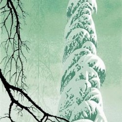mid century modern christmas illustration Eyvind Earle winter