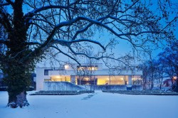 mid century modern winter houses snow icons
