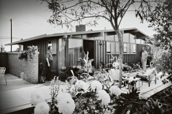 mid century modern tract housing suburbs