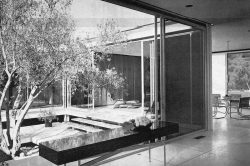 craig ellwood rosen house mid century modern california post beam
