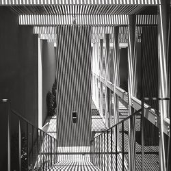 mid century modern architecture marvin rand california photograhy