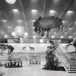 mid century modern architecture marvin rand california photograhy